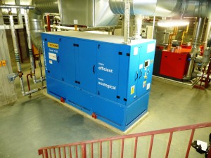 CHP unit for waterpark